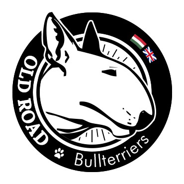 OldRoad Bullterriers